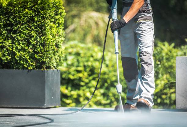 Best House Exterior Washing  in Goshen, IN