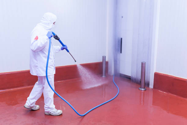Best Soft Washing  in Goshen, IN